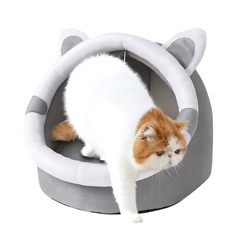 Four-season cat house - semi-enclosed design, integrated play and sleep areas