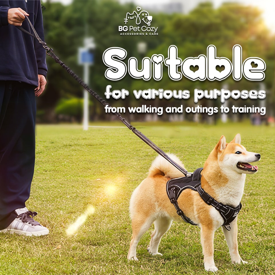 Reflective No-Pull Dog Harness with Breathable Padding - Safe & Easy to Adjust for Comfortable Walks